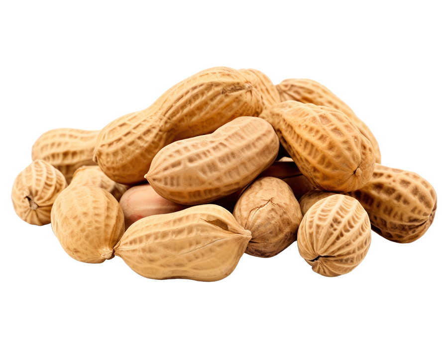 Premium in-shell peanuts by Farmer Egypt